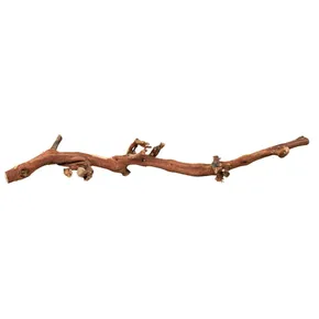 Natürliche Terrariendekoration, Weinrebenzweig L 40-60cm